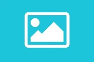 Best conservative search engine