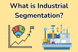 Industrial segmentation